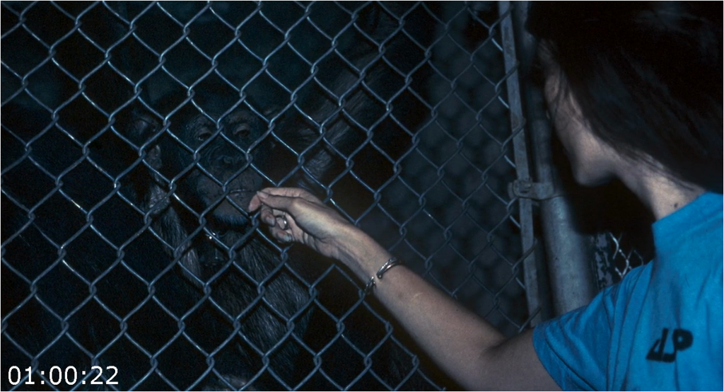 [Image: lywi6urpt814.png]