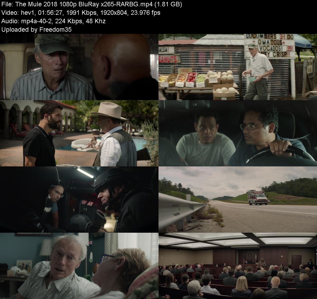 The-Mule-2018-1080p-Blu-Ray-x265-RARBG.j
