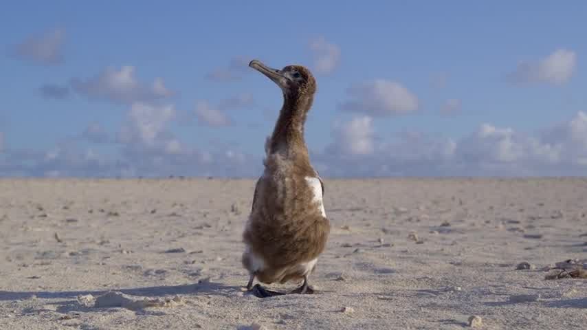 [Image: a1jdq7k94liw.jpg]