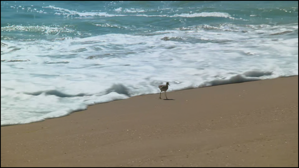 [Image: wmx215wdx7lj.png]