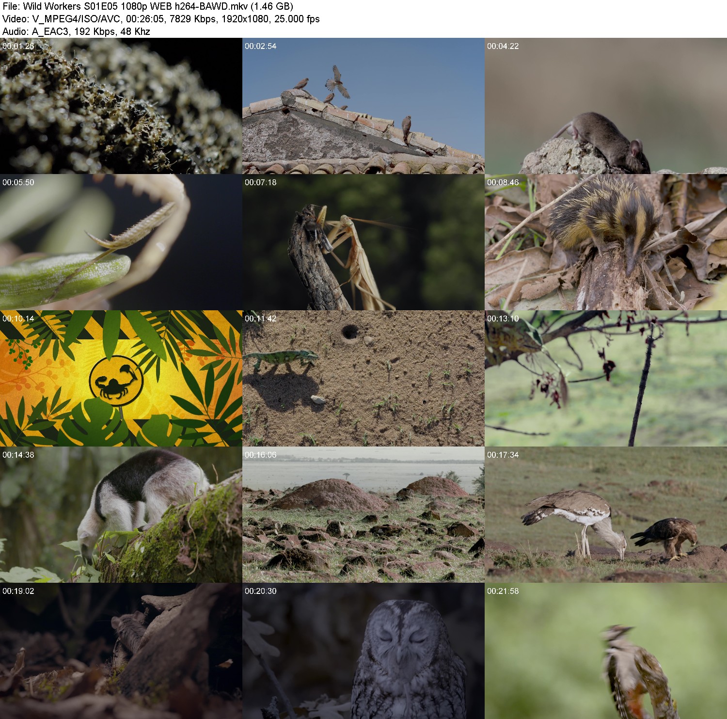 [Image: rxc29jtcfw52.jpg]