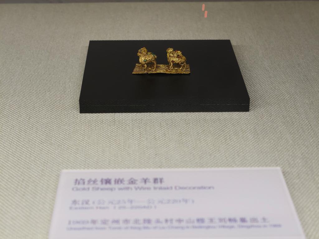 IMG20260510103207