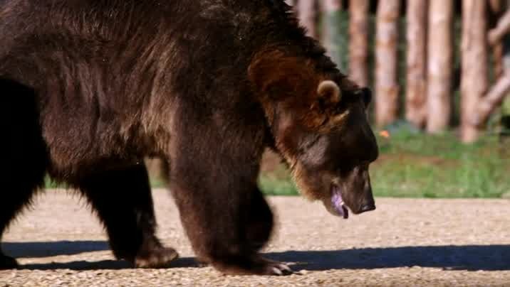 [Image: wqu33co27ims.jpg]