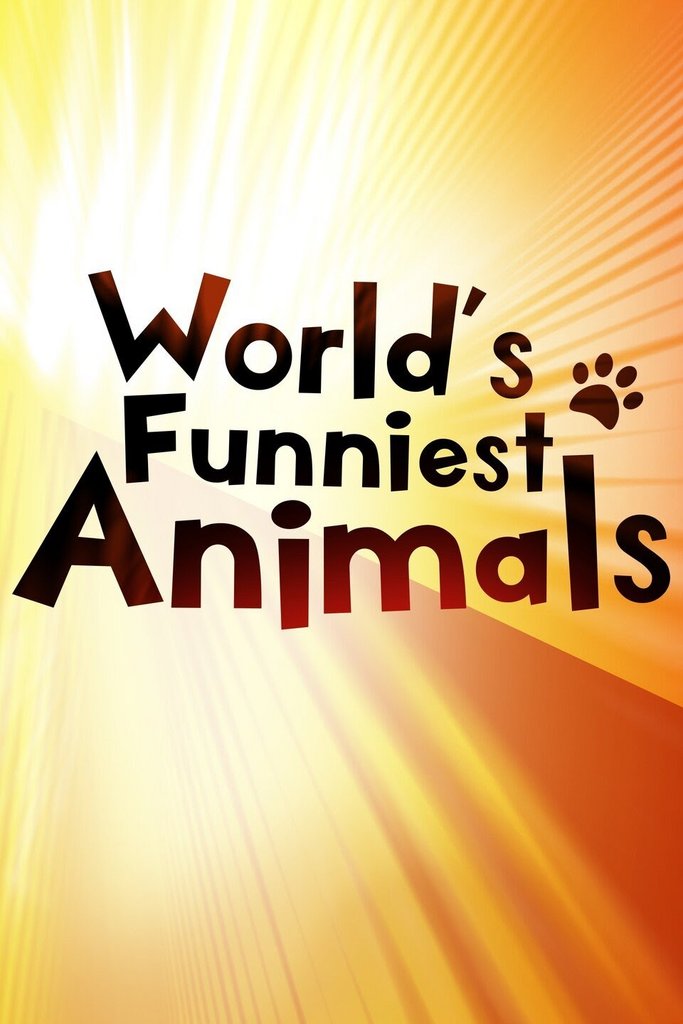 Worlds Funniest Animals S04E04 | En [1080p] (x265) Kgd2rrb2t26u