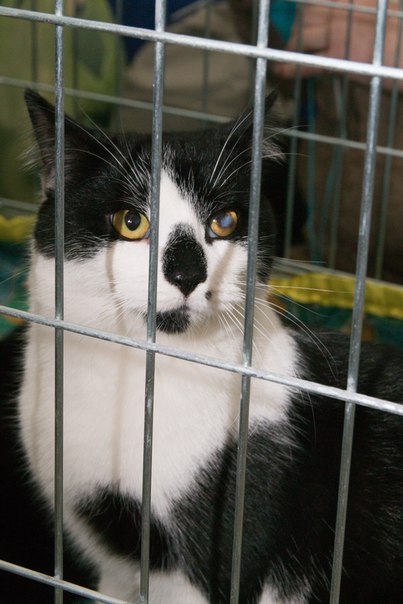 A8682BDB-98C4-48BD-B1D4-33BA18AF72F7