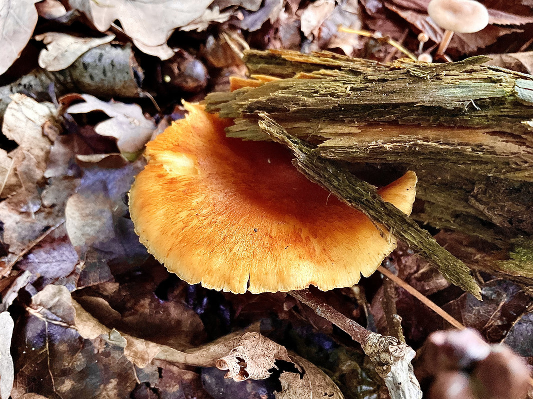 96D7A135-9DE2-4725-960F-5DA84B466493