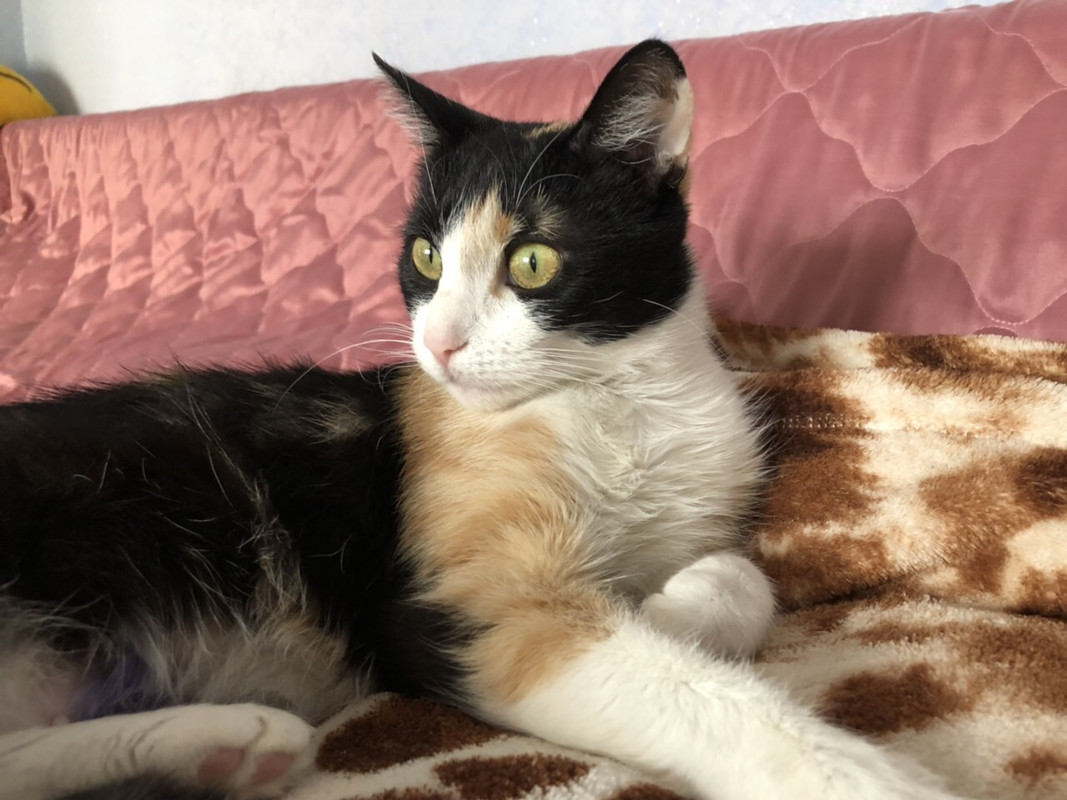 9860252A-4AE9-4A0F-A3D8-91C48C816C42