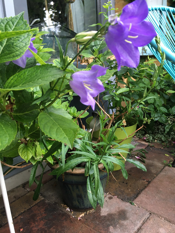 99E04C76-3050-4B5A-B80B-8DB032DB5897