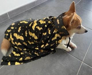 [Image: IMG-6786.jpg]