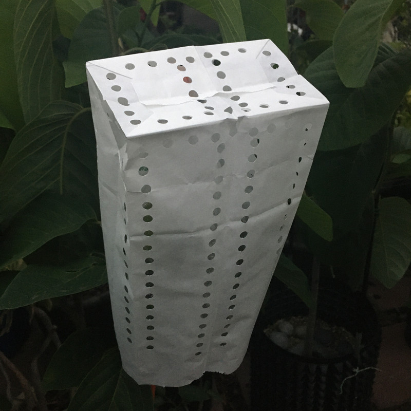 0CCF61A7-506F-41BE-A413-34F09038F734