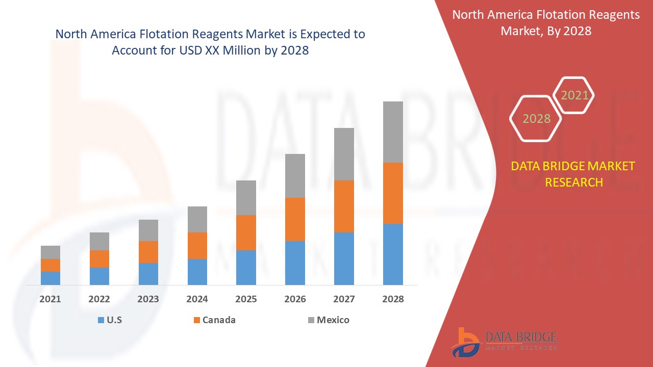 North America Flotation Reagents Market