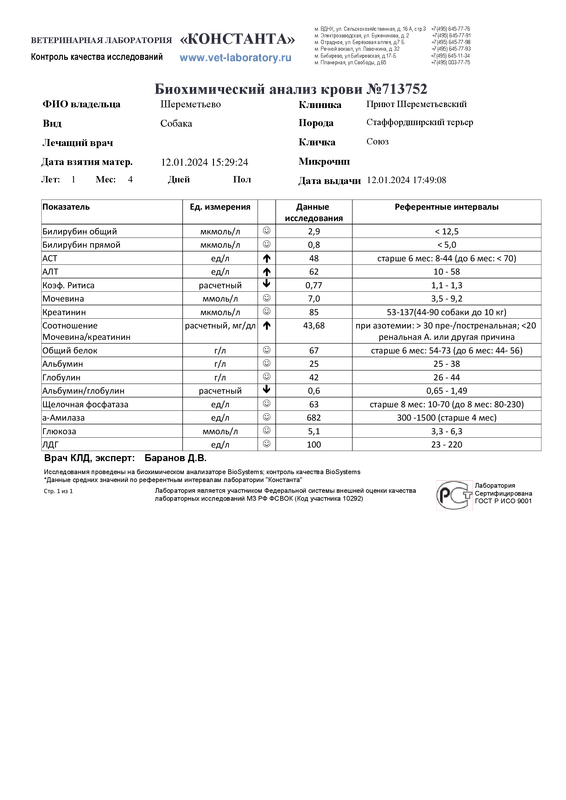 Биохимический анализ крови (713752)