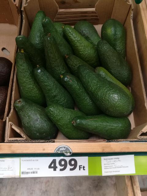 Kép