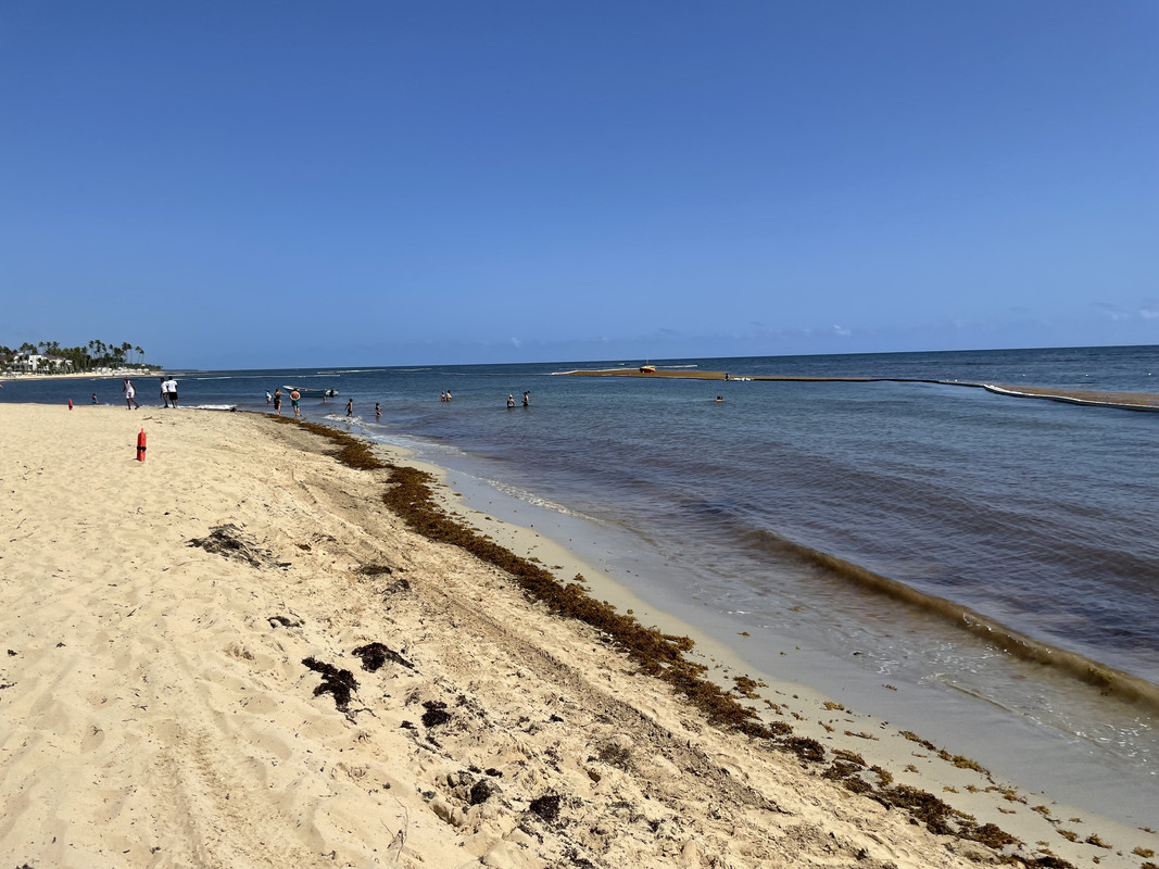 Skype_Picture_2022_08_15T23_28_21_715Z