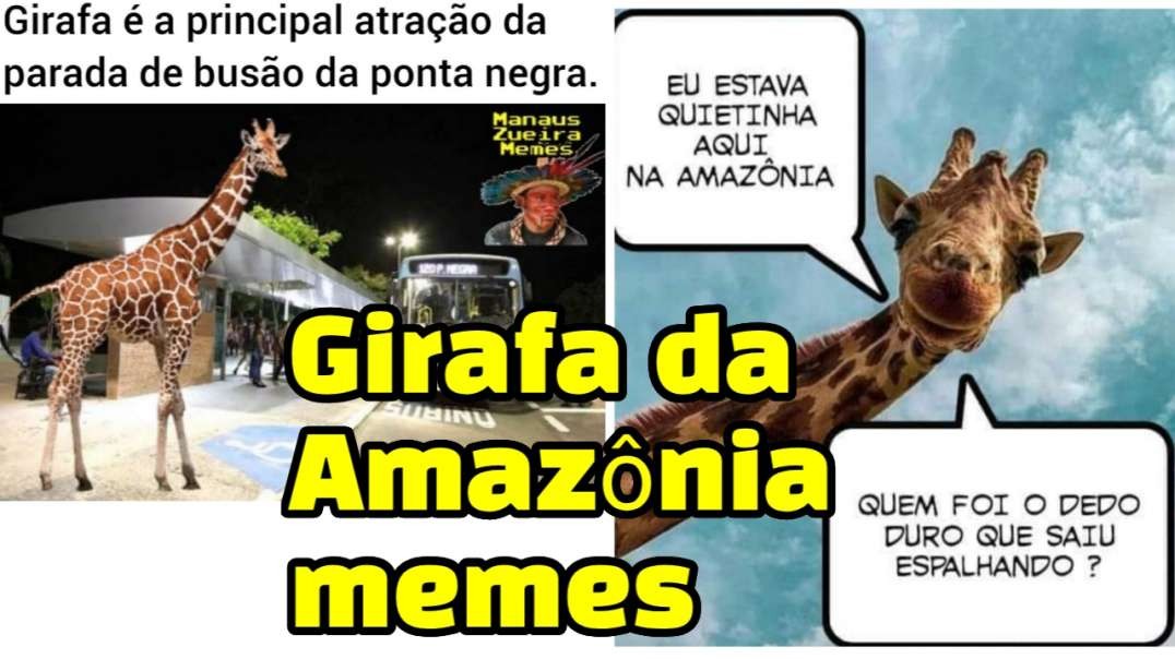 5i-ZSq-Tmq-OXa-Obd3g5oj-U-29-ac05e9a1224c8ae3760831432822f2f2-image