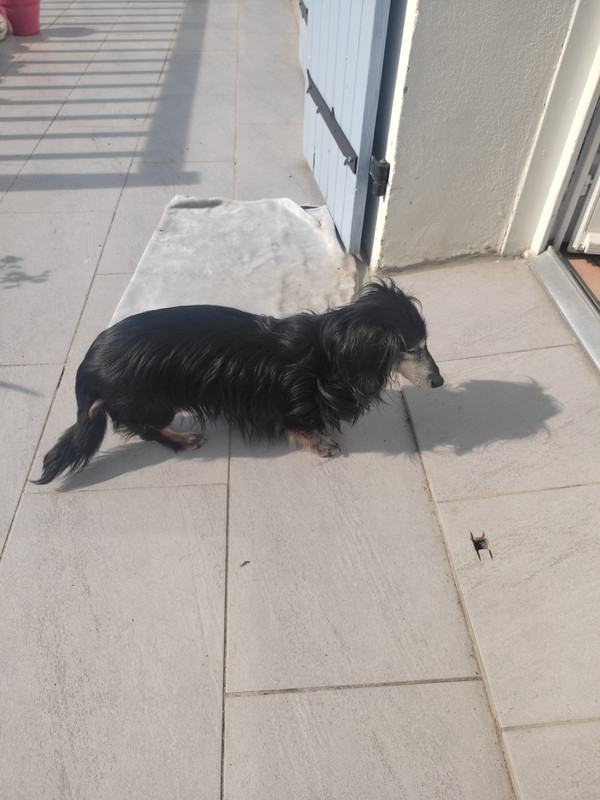 [Image: IMG-20250426-171016.jpg]