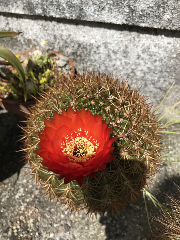 202A36BE-80BD-40F6-BD17-E9B69FB07F3A