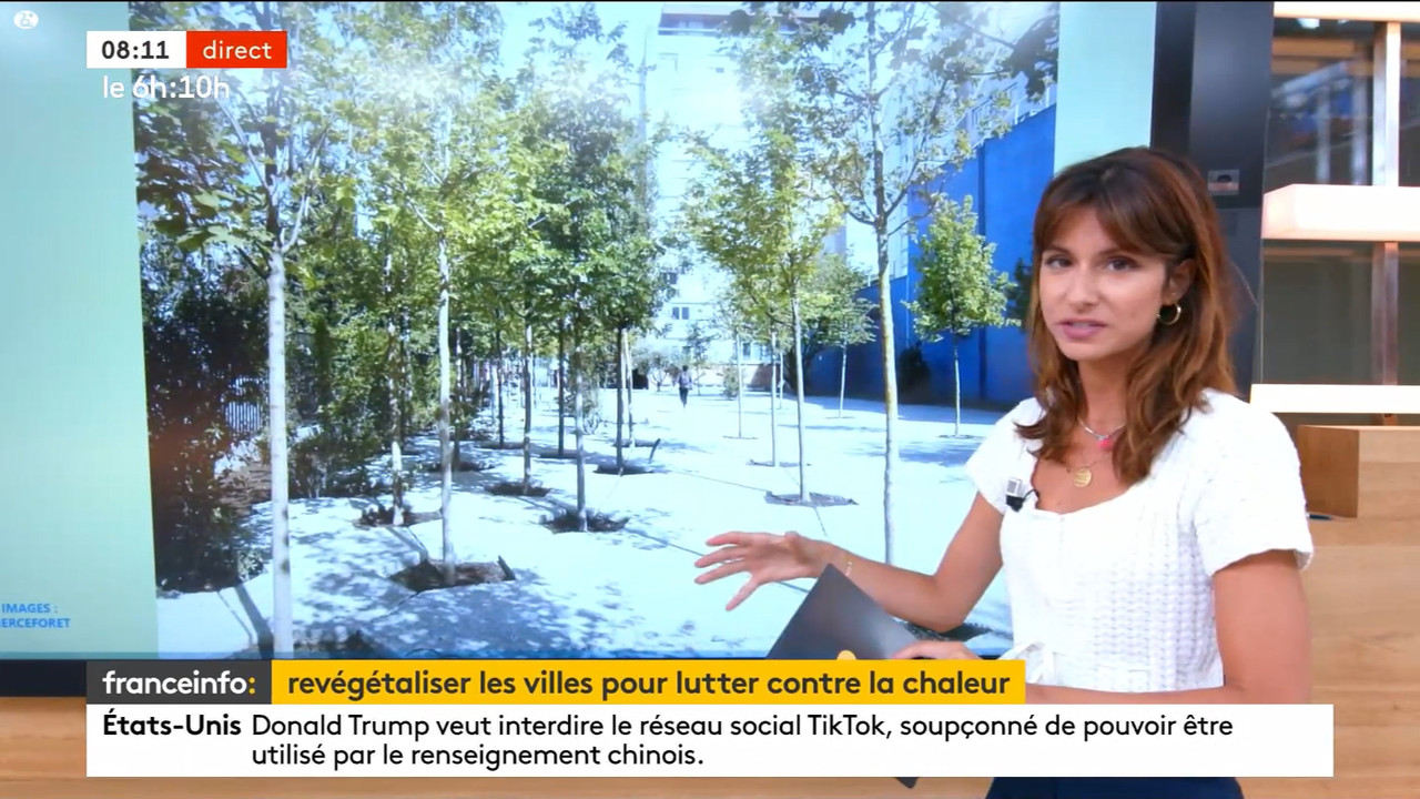 08.01 - 10.27.00 - Franceinfo  et tout est plus clair. Pas de descrip....ts_snapshot_12.06.011