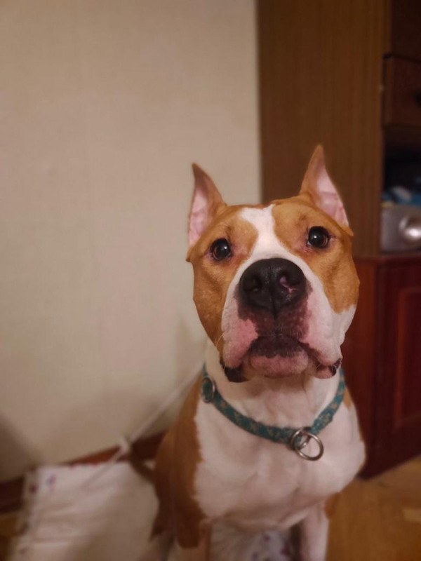 C7C3E147-B455-456A-A912-F1903CDB4CC9