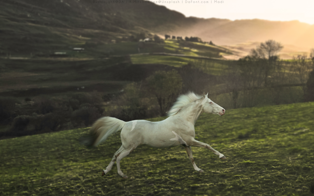 2FE77F59-F967-4701-B004-718A7A648ADE