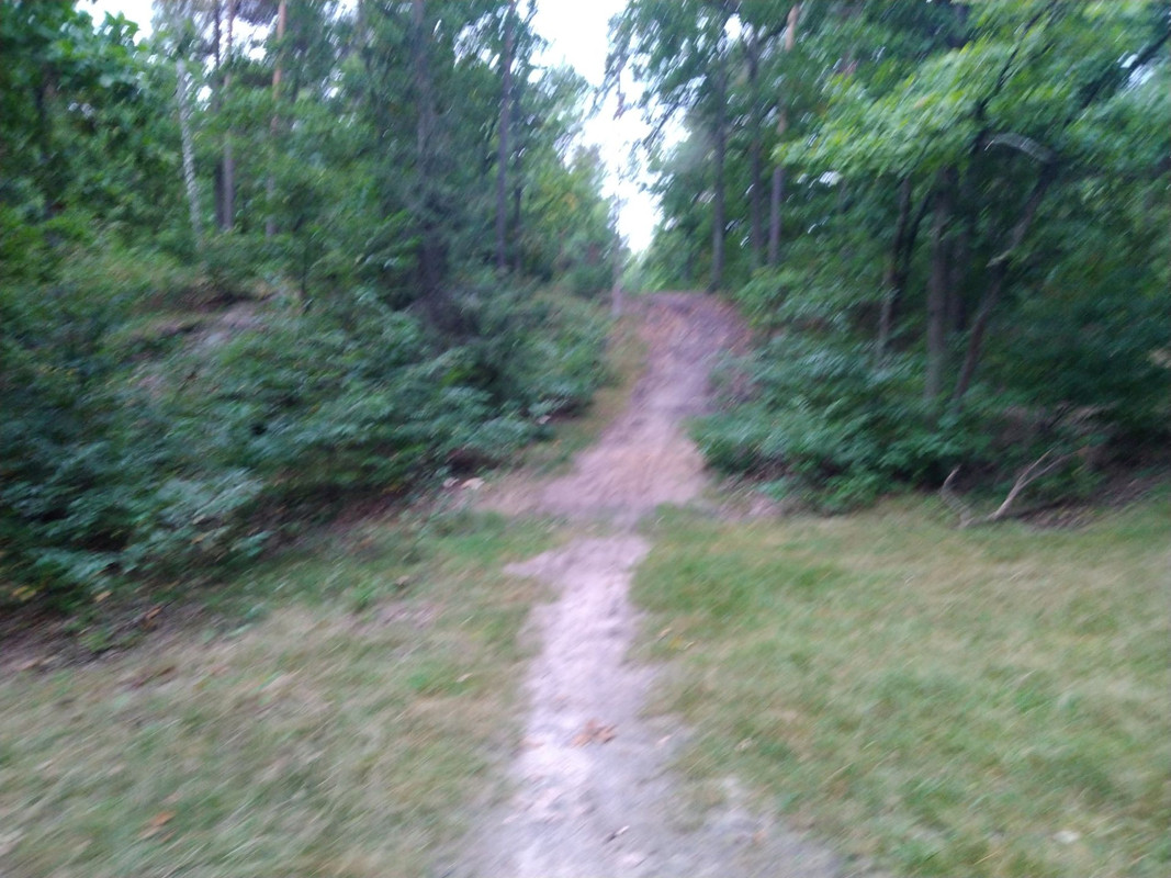 IMG-20210917-173733.jpg
