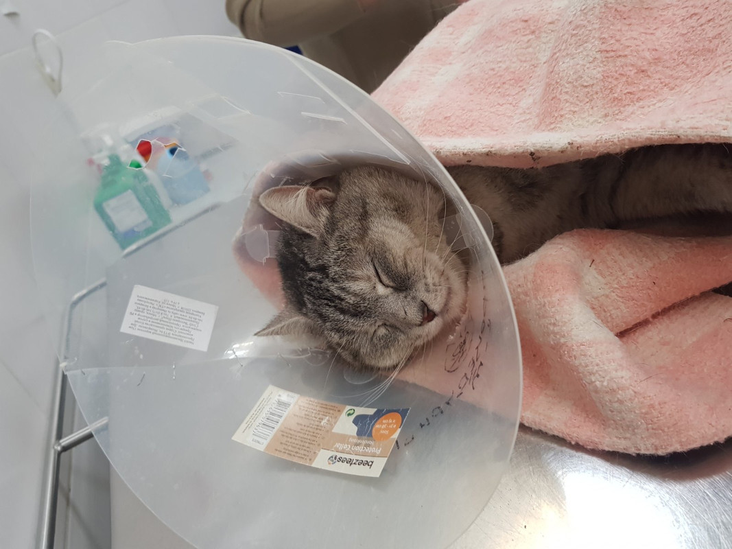 F70ADC81-A79C-4E79-8DAB-8BCA80E76D76