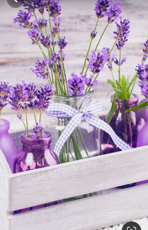 Screenshot_20230623_230436_Pinterest