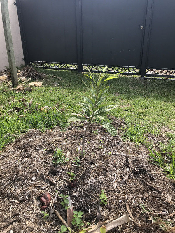 6865181A-0DAC-43FD-AC55-D01671C98BE9