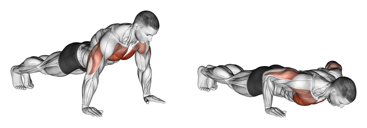 Make Your Own Inner Chest Workout Routine at Home