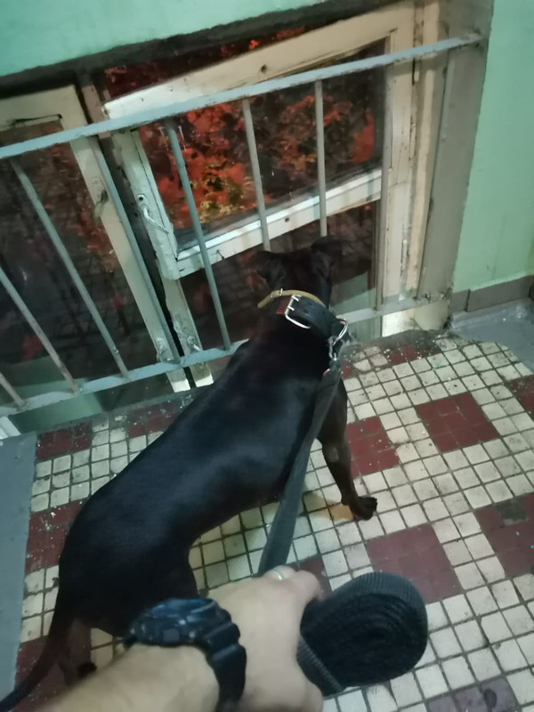 93F9A445-8B5B-493B-853A-B9E51AA64640