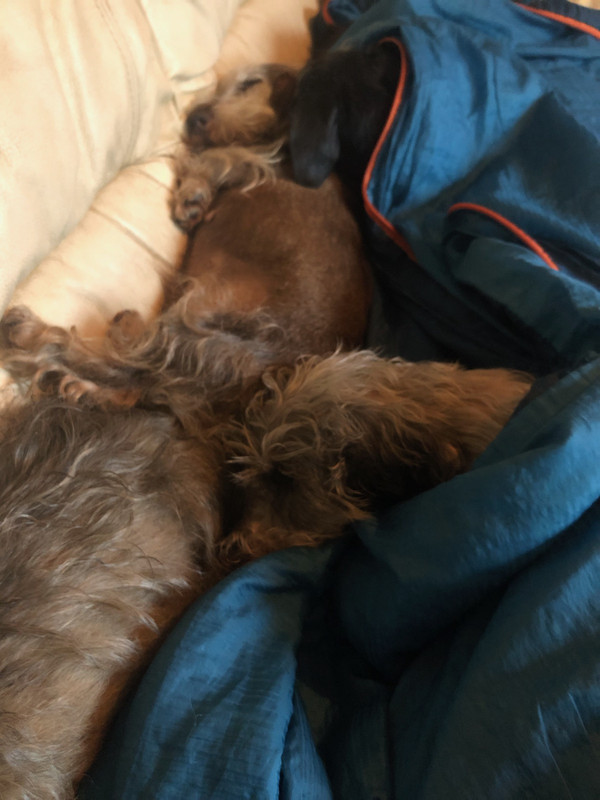 [Image: IMG-20240727-083230.jpg]