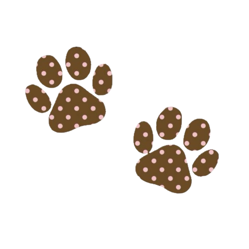 brown 8