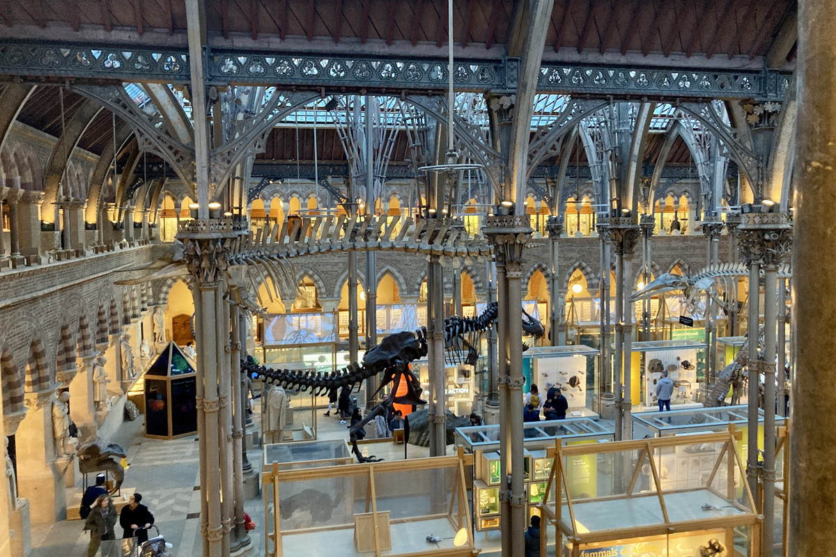 C762D29C-74EC-4559-9675-212A30AF8EEE