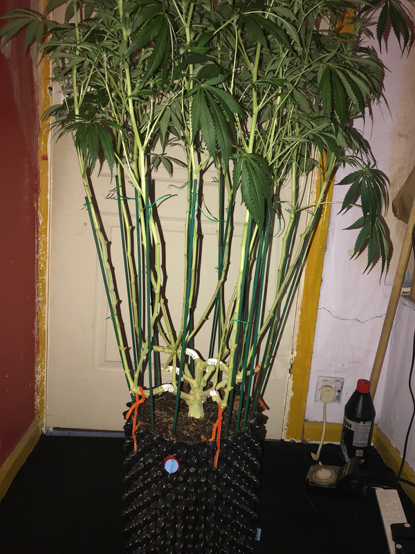 2C477F18-A42B-46CB-A436-D47F218055AA