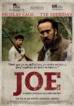 Poster: Joe (2013) 1080p BRRip H264