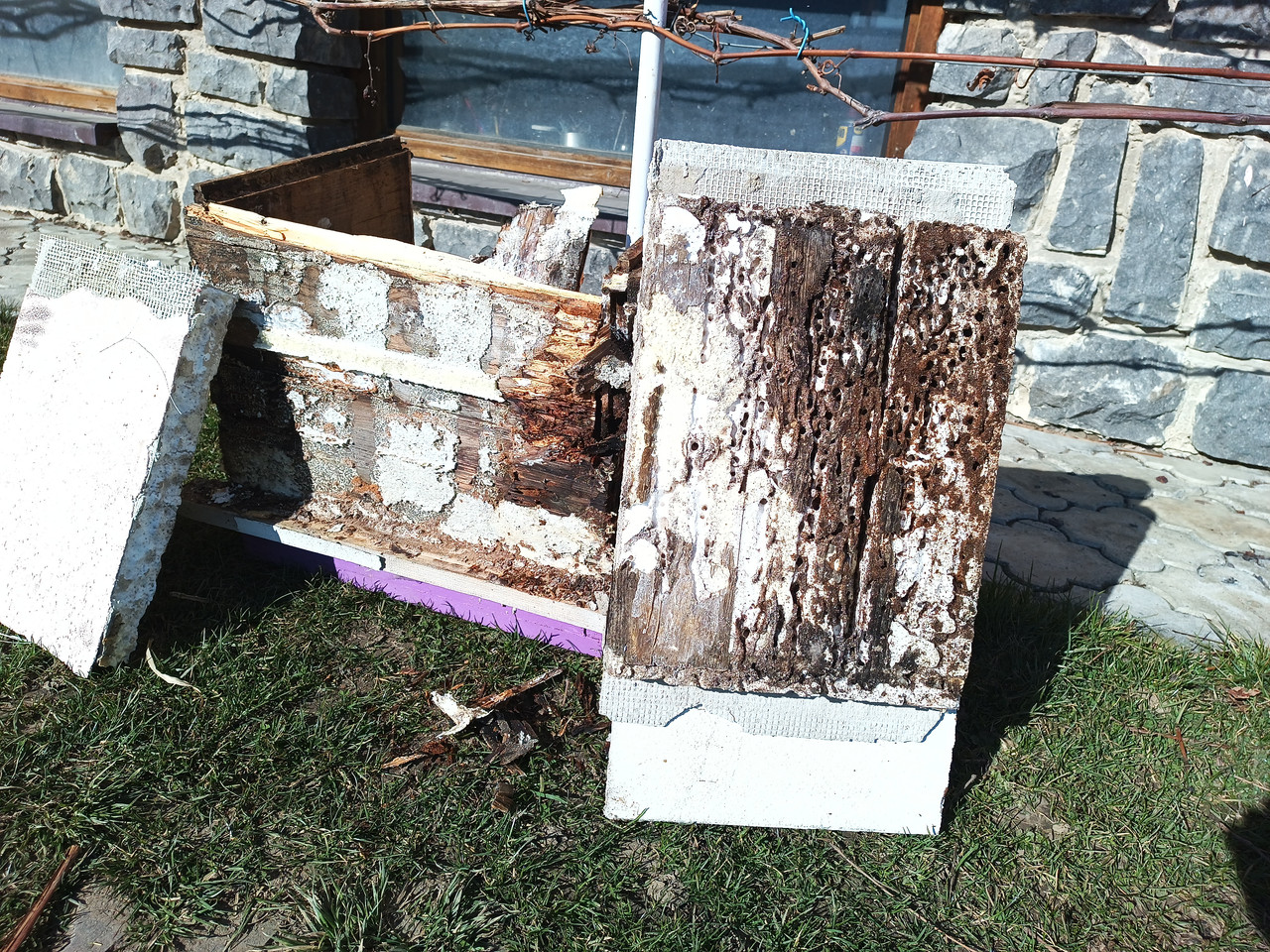 IMG 20260309 134407 215