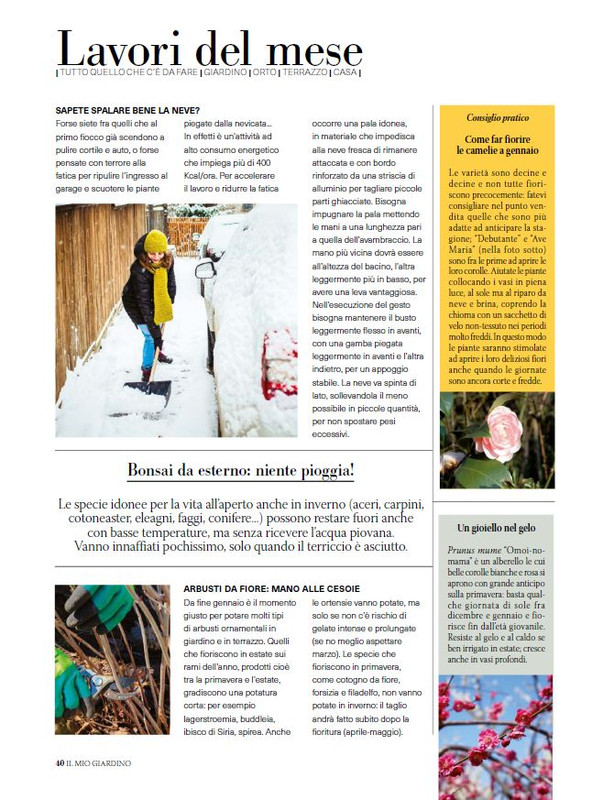 Il Mio Giar Dic 2024-Gen 2025 (7)