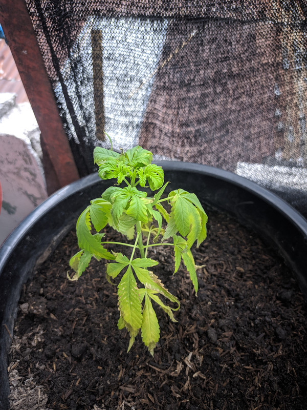 HC_20230212_130759_null