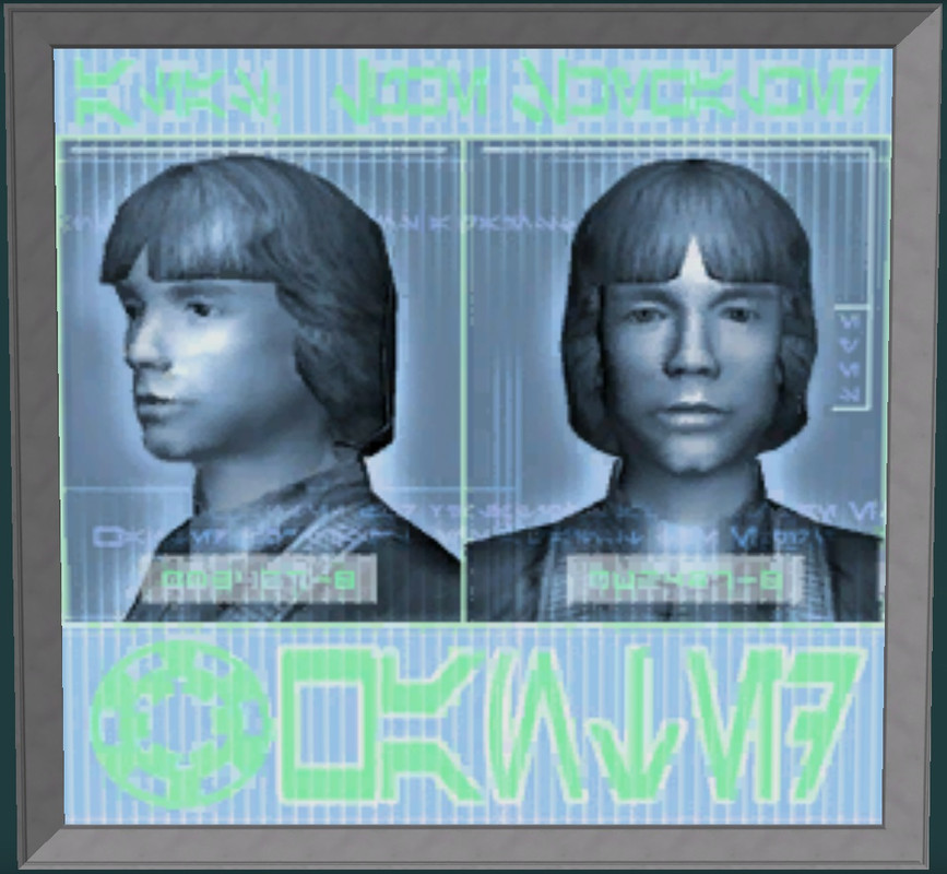 Wanted Poster Luke Skywalker