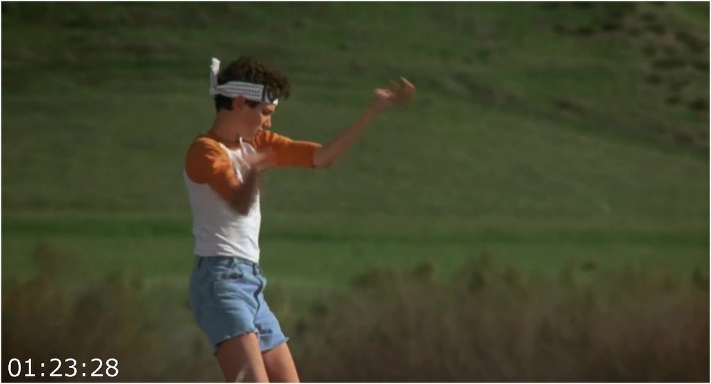 The-Karate-Kid-1984-1080p-H264-Ita-Eng-Ac3-Sub-Eng-Snake-SPL-MIRCrew.jpg