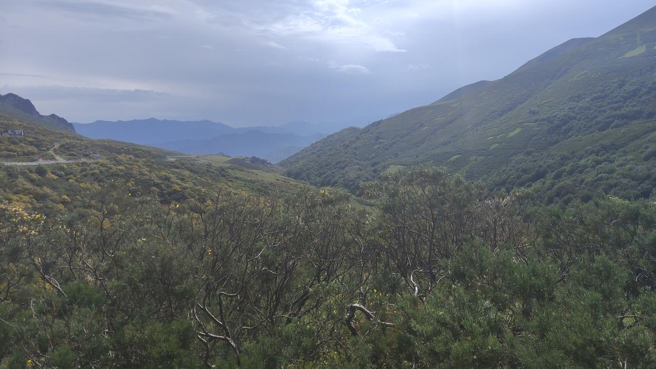 IMG-20260620-112259-HDR