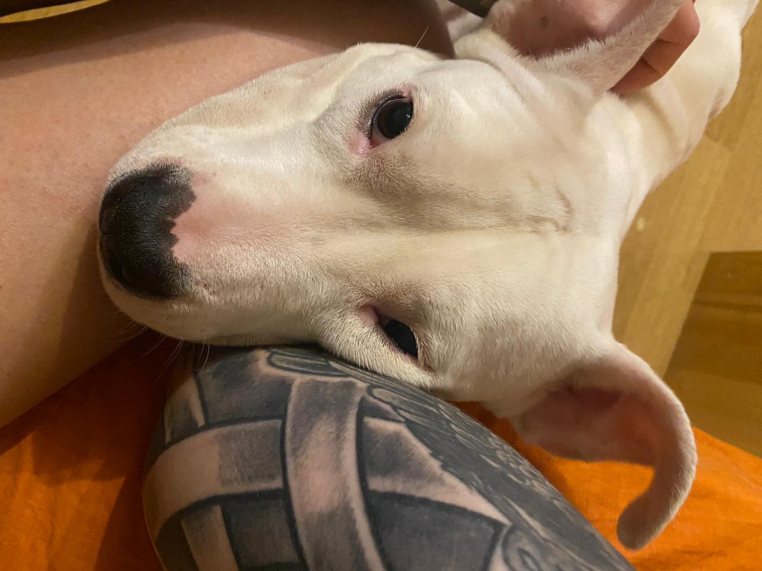 6ACF5E36-3641-4923-A50C-AB6A6D7A3DA6