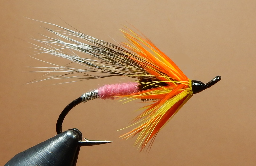 Pinkent-2-1080.jpg