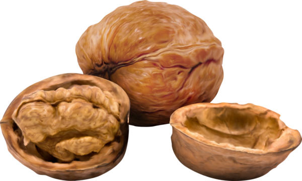 TADD_elements_ShimmerFall (6)