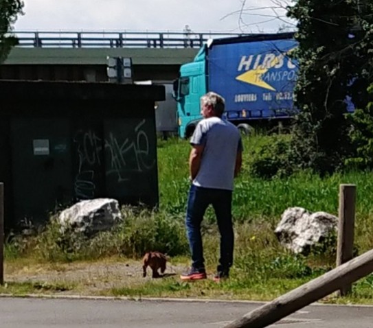 [Image: 20230426-134221.jpg]