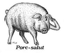 porc salut