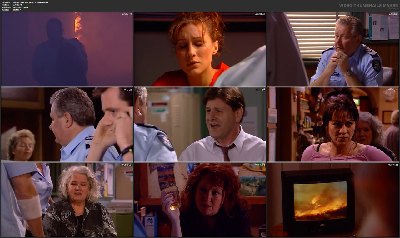 Blue Heelers S10E01 Firebrands (1).mkv