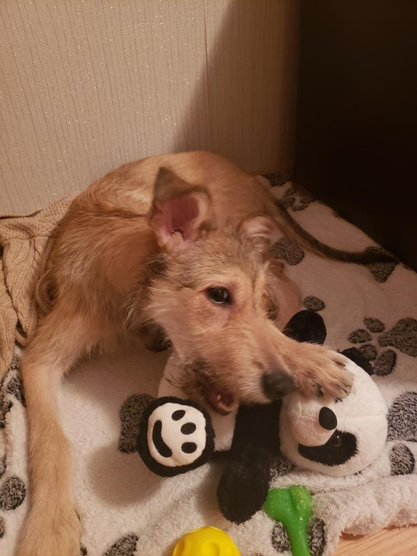 817D5D35-E150-43B6-9EEB-3AEE83999F04