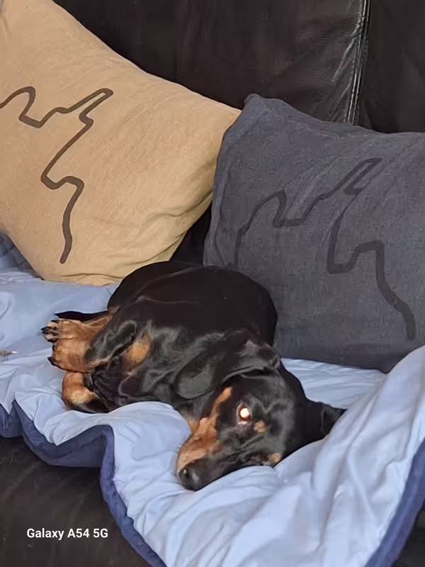 [Image: 20241215-143932.avif]