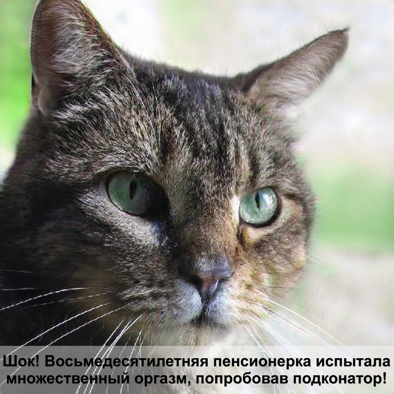 у кошки лезут глисты